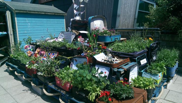 Recycled suitcases turned into flower display